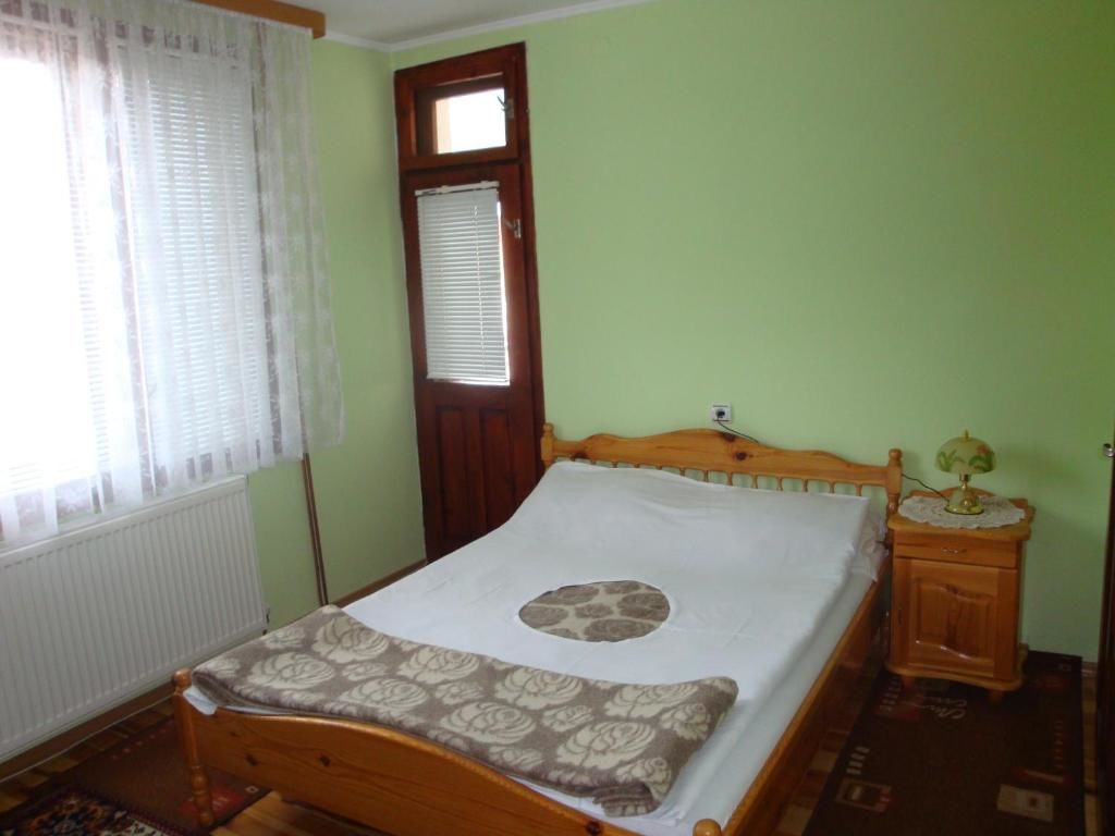 Гостевой дом Guesthouse Damyanova Kushta Добриниште-36